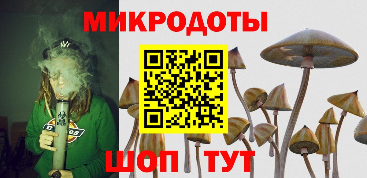 Звенигород  Псилоцибиновые грибы GOLDEN TEACHER  Вход с VPN 