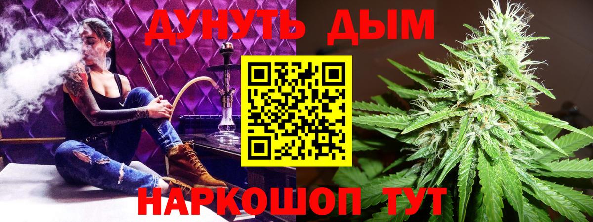 Конопля сатива Звенигород